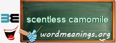 WordMeaning blackboard for scentless camomile